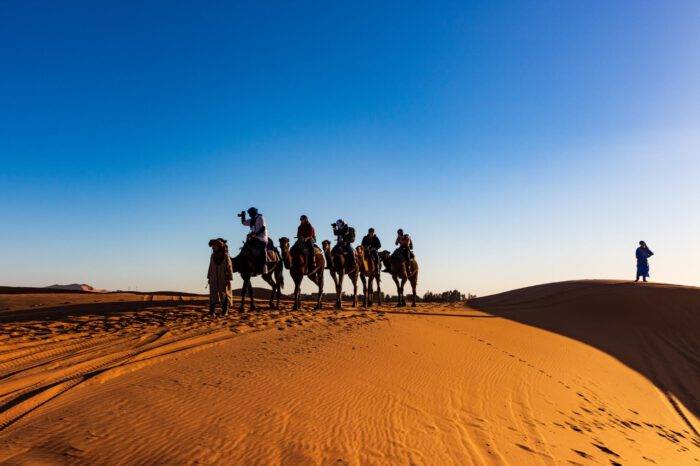 Camel ride for 2 nights in the desert