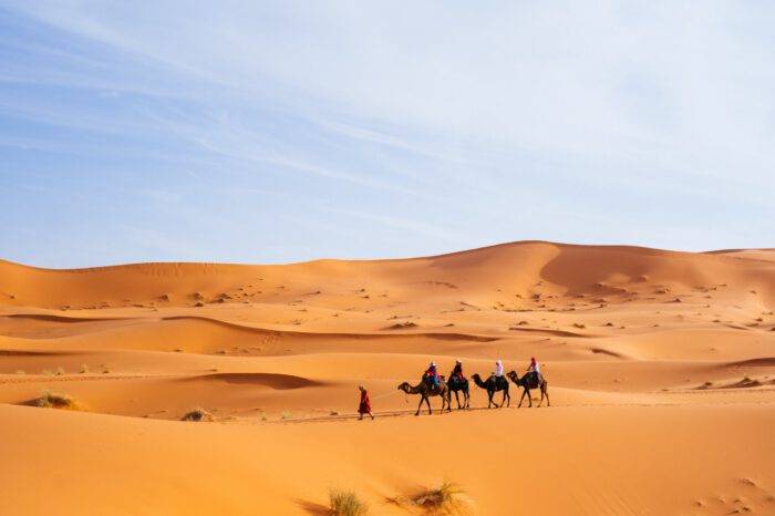 Paseo en camello por 2 noches en el desierto